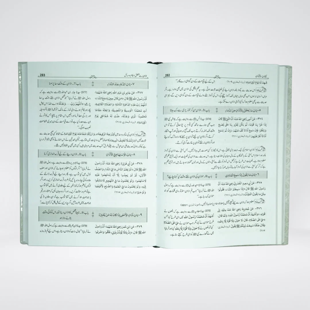 Mukhtasir Sahih Bukhari Urdu | 2 Volumes Darrussalam | Imam Bukhari