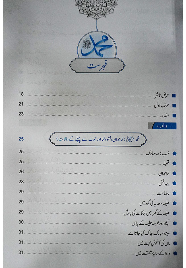 Tajalliyat-e-Nabuwwat (New Edition) 17x24cm